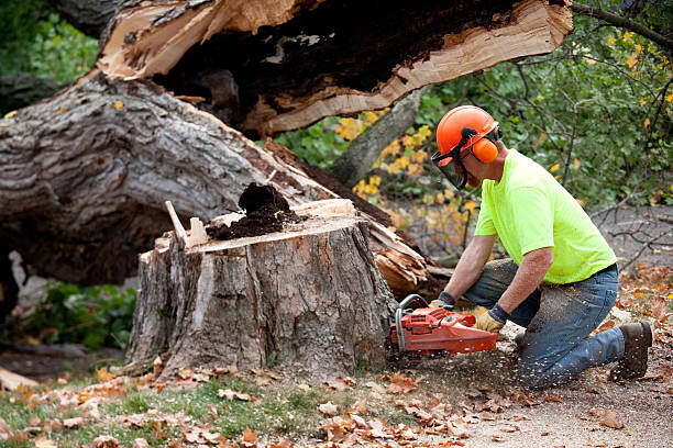 Soil Testing and Treatment in Newport News, VA